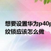 想要设置华为p40pro指纹锁应该怎么做