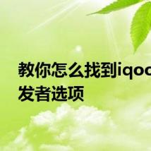 教你怎么找到iqoo的开发者选项