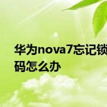 华为nova7忘记锁屏密码怎么办