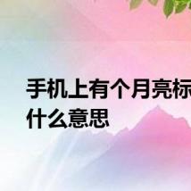 手机上有个月亮标志是什么意思