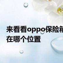 来看看oppo保险箱照片在哪个位置