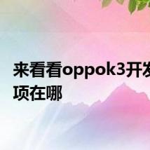 来看看oppok3开发者选项在哪