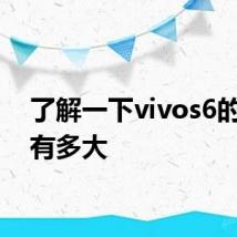 了解一下vivos6的屏幕有多大