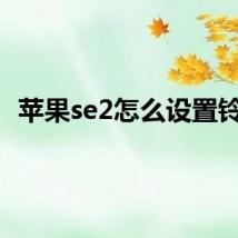 苹果se2怎么设置铃声