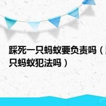 踩死一只蚂蚁要负责吗（踩死一只蚂蚁犯法吗）