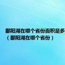 鄱阳湖在哪个省份面积是多少平方（鄱阳湖在哪个省份）