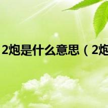 2炮是什么意思（2炮手）