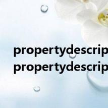 propertydescriptor（propertydescriptor）