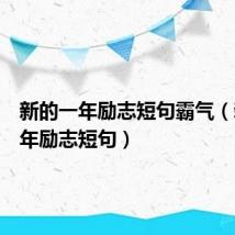 新的一年励志短句霸气（新的一年励志短句）