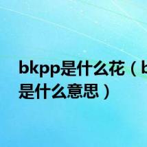 bkpp是什么花（bkpp是什么意思）