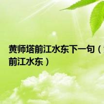 黄师塔前江水东下一句（黄师塔前江水东）