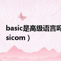 basic是高级语言吗（basicom）