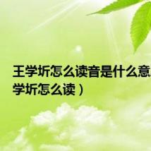 王学圻怎么读音是什么意思（王学圻怎么读）