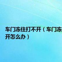 车门冻住打不开（车门冻住打不开怎么办）