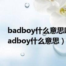 badboy什么意思啊（badboy什么意思）