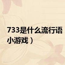 733是什么流行语（733小游戏）