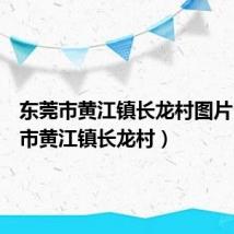 东莞市黄江镇长龙村图片（东莞市黄江镇长龙村）