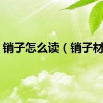 销子怎么读（销子材料）