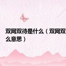 双网双待是什么（双网双待是什么意思）