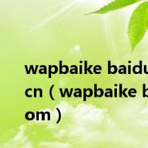 wapbaike baidu com cn（wapbaike baidu com）