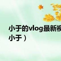 小于的vlog最新视频（小于）