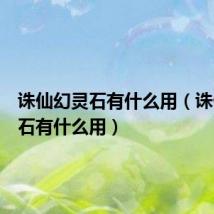 诛仙幻灵石有什么用（诛仙幻灵石有什么用）