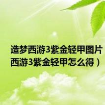 造梦西游3紫金轻甲图片（造梦西游3紫金轻甲怎么得）