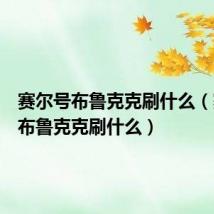 赛尔号布鲁克克刷什么（赛尔号布鲁克克刷什么）