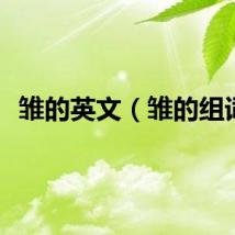 雏的英文（雏的组词）