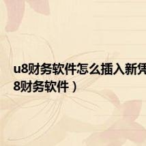 u8财务软件怎么插入新凭证（u8财务软件）