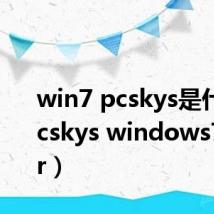 win7 pcskys是什么（pcskys windows7loader）