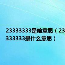 23333333是啥意思（2333333333333是什么意思）