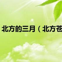 北方的三月（北方苍狼）