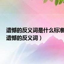 遗憾的反义词是什么标准答案（遗憾的反义词）