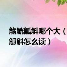 觞觥觚斛哪个大（觞觥觚斛怎么读）