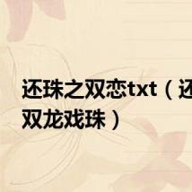 还珠之双恋txt（还珠之双龙戏珠）