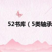 52书库（5类轴承）