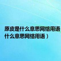 原皮是什么意思网络用语（yp是什么意思网络用语）