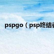 pspgo（psp终结者）