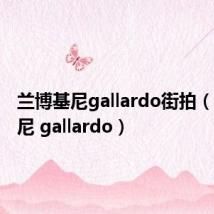 兰博基尼gallardo街拍（兰博基尼 gallardo）