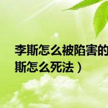 李斯怎么被陷害的（李斯怎么死法）