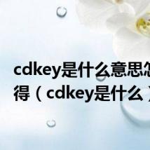 cdkey是什么意思怎么获得（cdkey是什么）