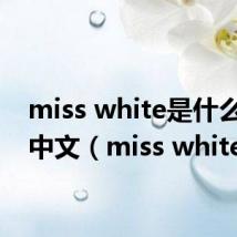 miss white是什么意思中文（miss white）