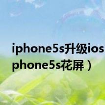 iphone5s升级ios12（iphone5s花屏）