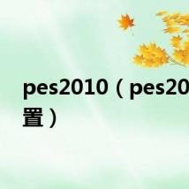 pes2010（pes2014配置）