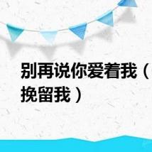 别再说你爱着我（别再挽留我）