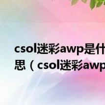 csol迷彩awp是什么意思（csol迷彩awp）