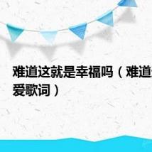 难道这就是幸福吗（难道这就是爱歌词）