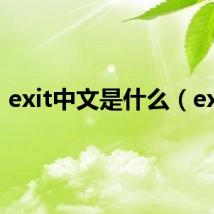 exit中文是什么（exit）