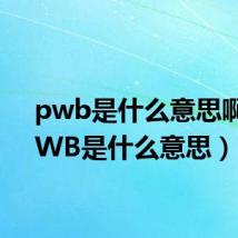 pwb是什么意思啊（PWB是什么意思）